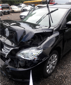 2018-05-29 13_52_52-8019_1.jpg (3096×4128)